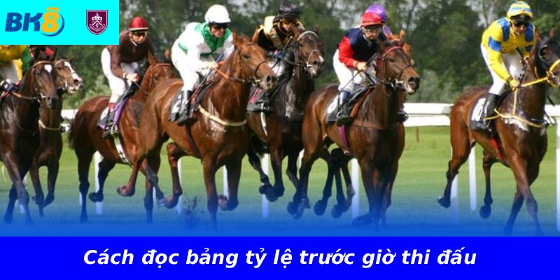 Cách đọc bảng tỷ lệ trước giờ thi đấu
